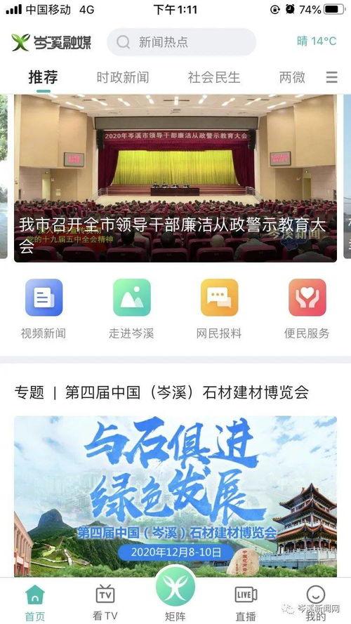 岑溪爆料新闻最新消息,重大事件引发社会关注
