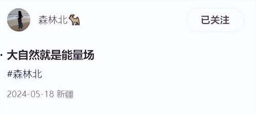 森林北最新爆料,最新爆料背后的惊人真相